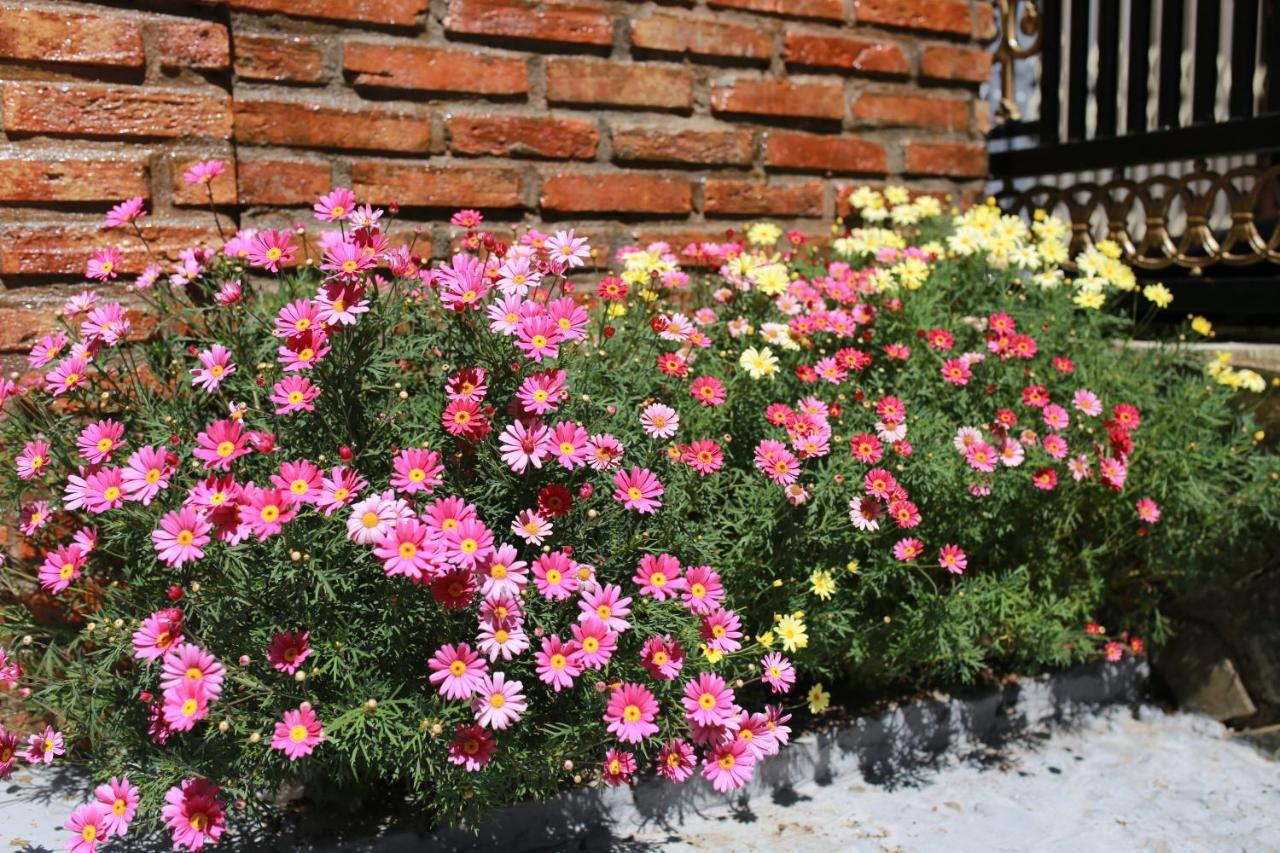 Hotel Tina Family Dalat Exterior foto